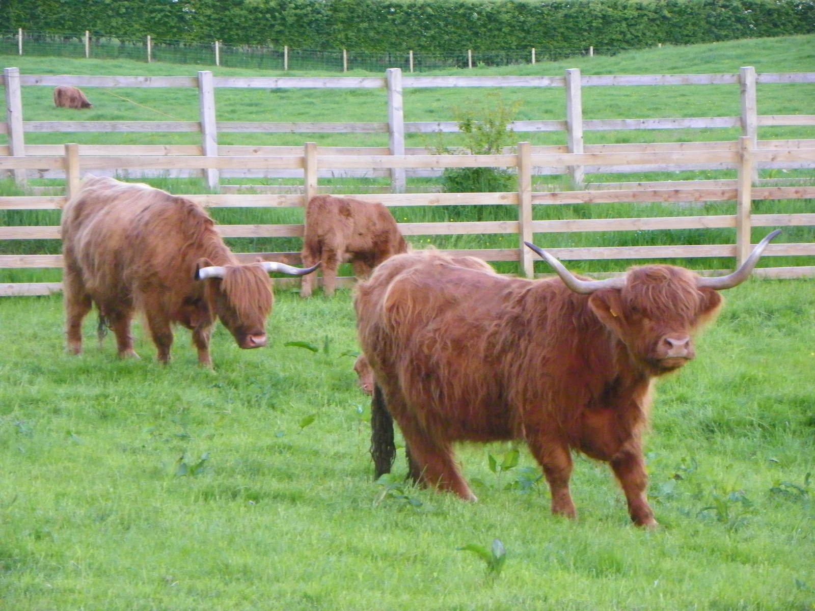 A luxury self-catering holiday at Blairmore Farm in Perth and Kinross, Scotland