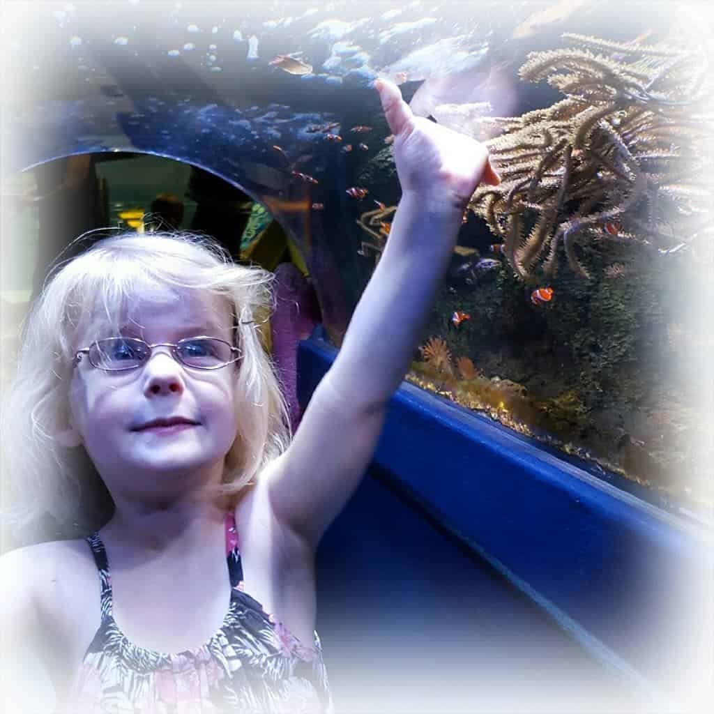 National Sea Life Centre: 20 year anniversary