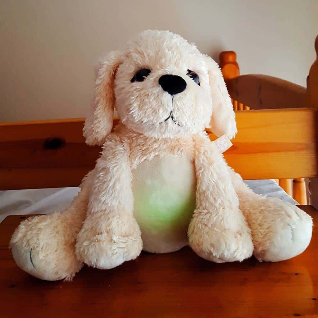 Golden Bear Sleep Tight All Night Puppy - Review