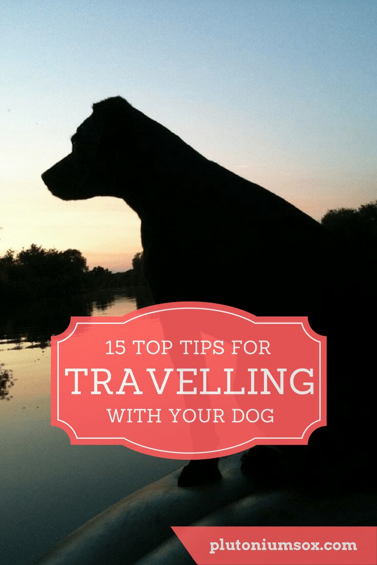 Pets | Dogs are part of the family. So when you go on holiday, it makes perfect sense that you would want to take your canine friend with you. Here are 15 tips for making sure both you and your pooch have a fantastic trip whether you travel in the UK or abroad.
