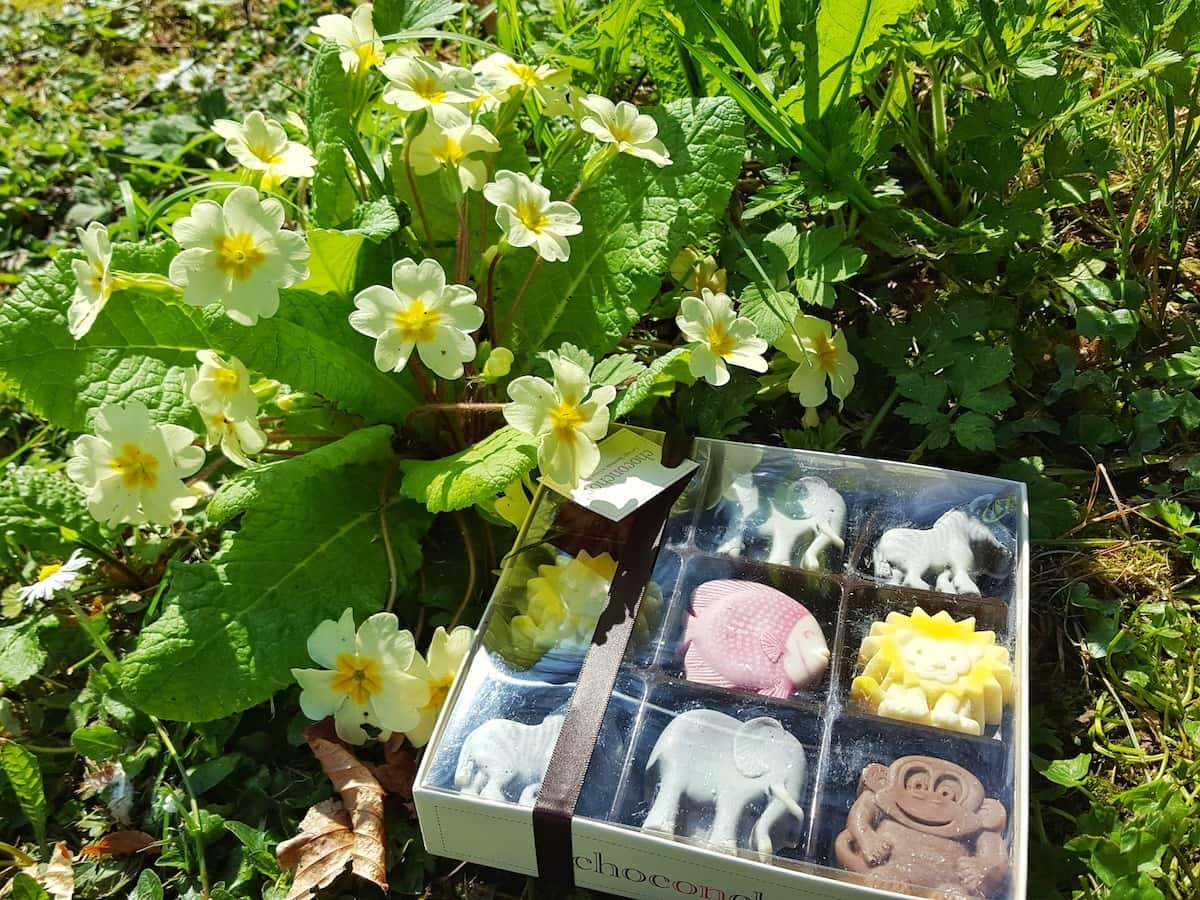 An Easter chocolate hunt with alternative Easter chocolate gifts from prezzybox