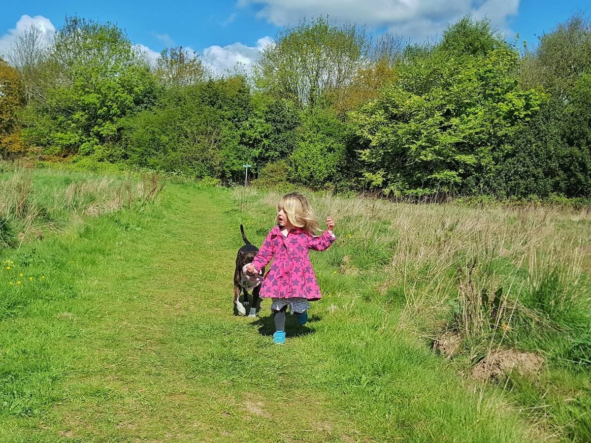 A review and giveaway of Meg Heath bespoke dog leads and collars