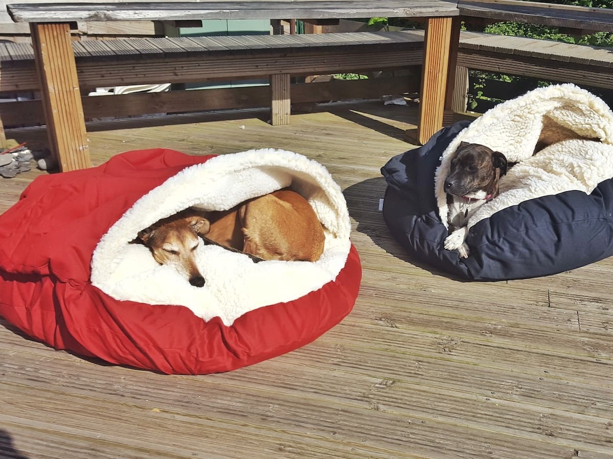 Snoozer UK make a range of products for dogs. The cozy cave is a warm, cosy, washable dog bed that is so appealing I've emailed them to ask if they'd think about making one for humans!