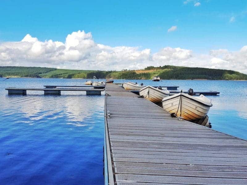 10 tips for visiting Kielder Forest in Northumberland