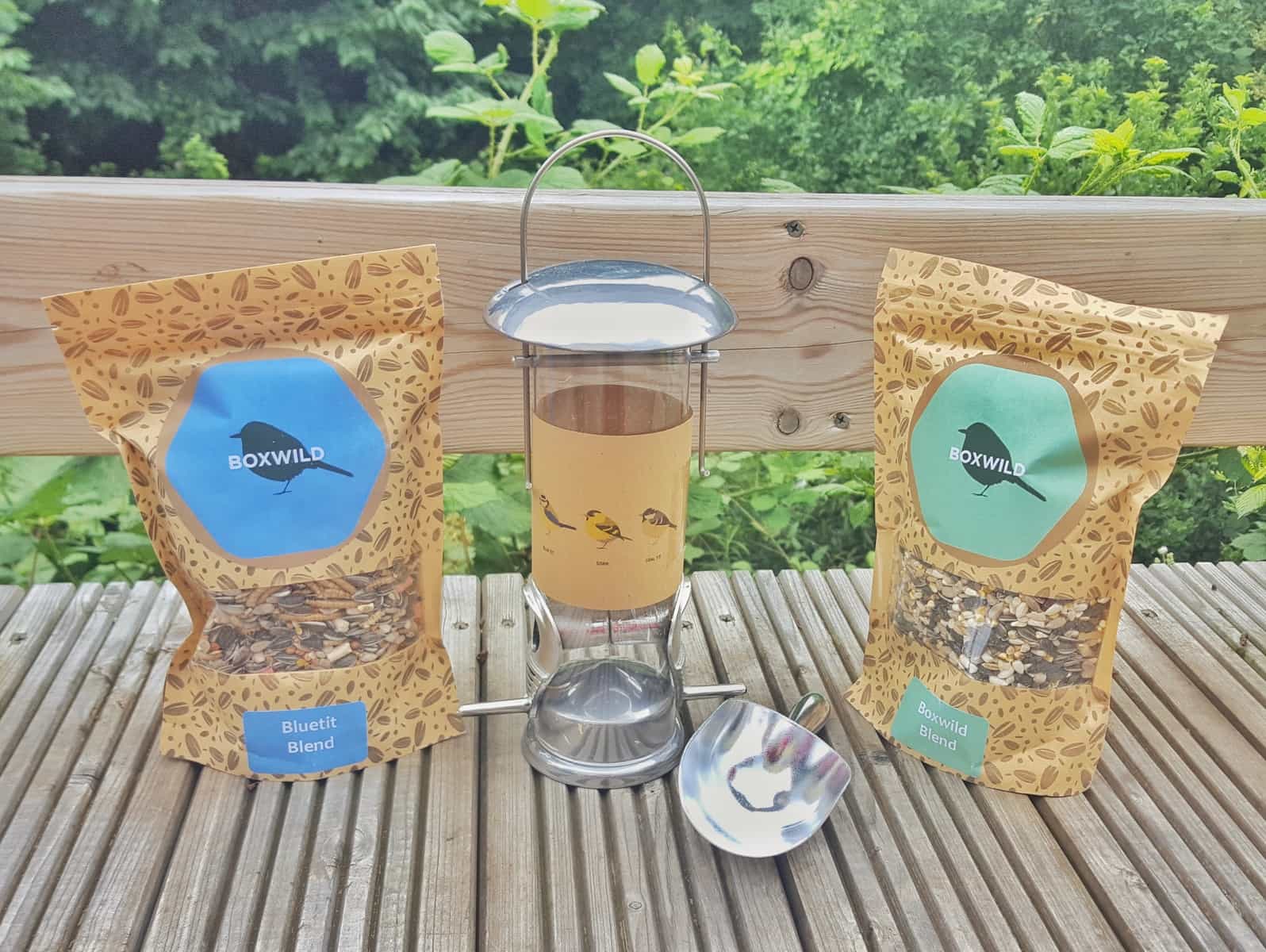 Feed the birds with a children's Big Bird Gift Box from Box Wild