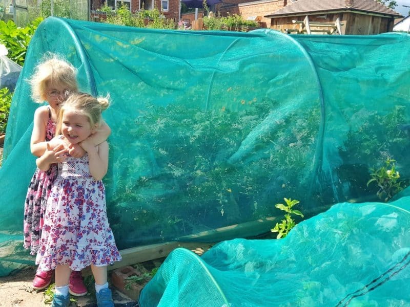 5 tips for growing vegetables with children