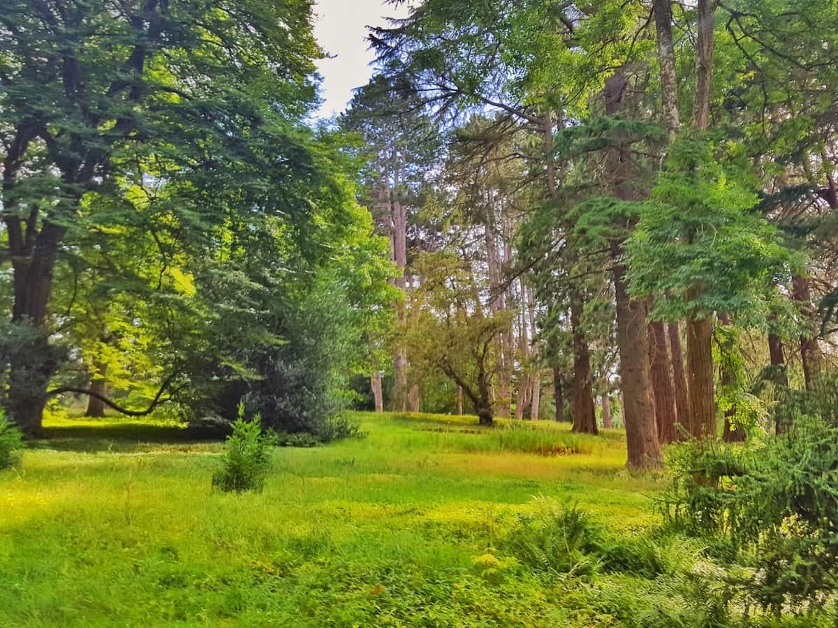 Dinosaurs at Eastnor Castle