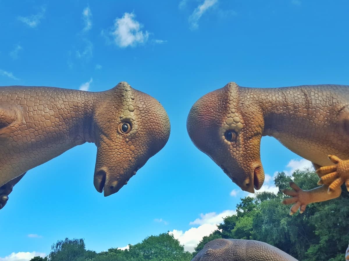 Large dinosaurs looking down on the Dino trail at Drayton Manor in Staffordshire. Drayton Manor Park theme park and zoo, Tamworth, West Midlands | Drayton Manor Park is a theme park that caters for kids and big kids of all ages. There are rides, play areas and a zoo that are perfect for toddlers, with the Thomas Land area aimed specifically at young children. For thrill seekers, there are big rollercoasters in Drayton Manor Park. It is one of the most fun days out in the West Midlands.