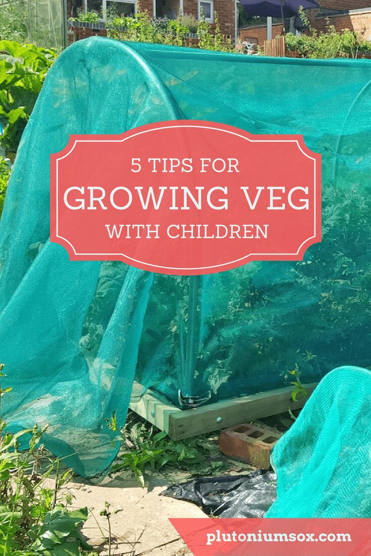 Growing vegetables with children | Allowing children to get involved in the process of growing, preparing and cooking vegetables can be a great way to encourage them to eat their greens. It also gets them outside into the garden. Gardening can give children a real sense of achievement, increase their confidence, improve their diet and benefit their health. Here are some tips to get you started. 