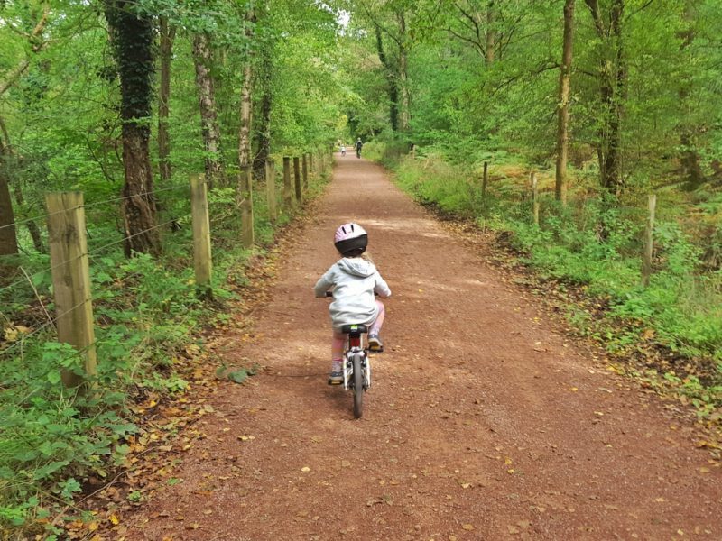 12 things you need to know about cycling in the Forest of Dean