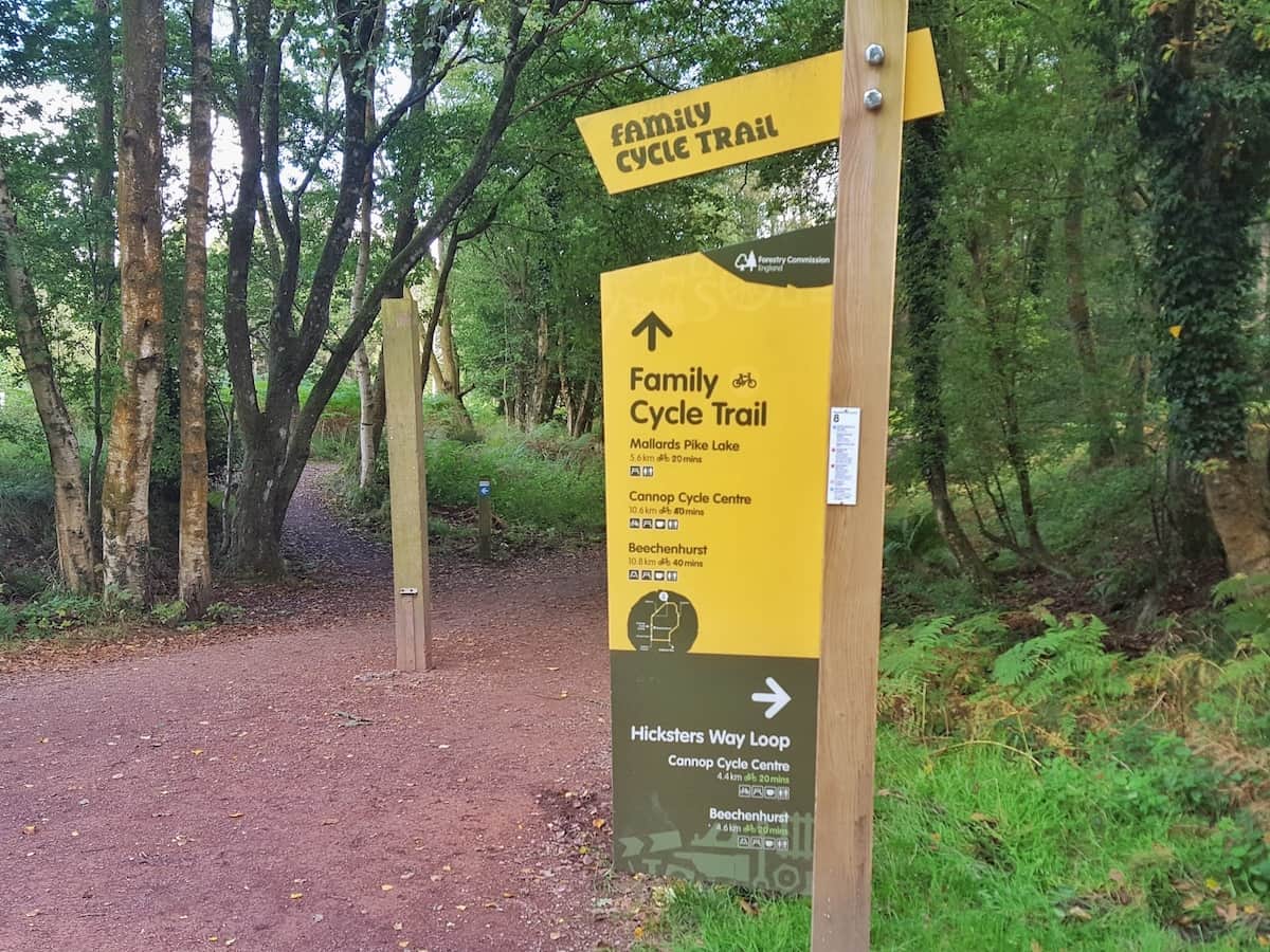 forest of dean cycle trail