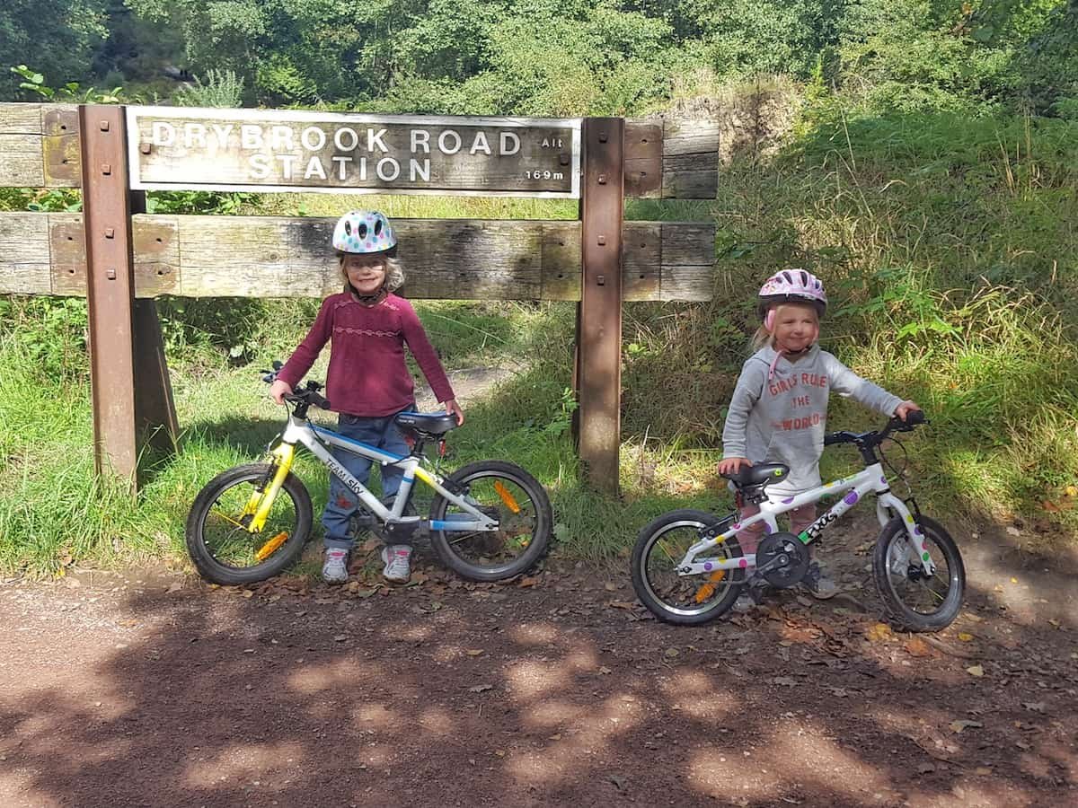 forest of dean family cycle trail