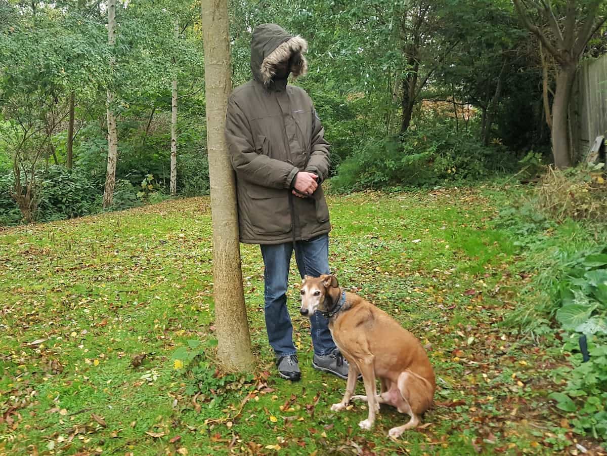 Winter dog walking and Millets winter coats for men and women