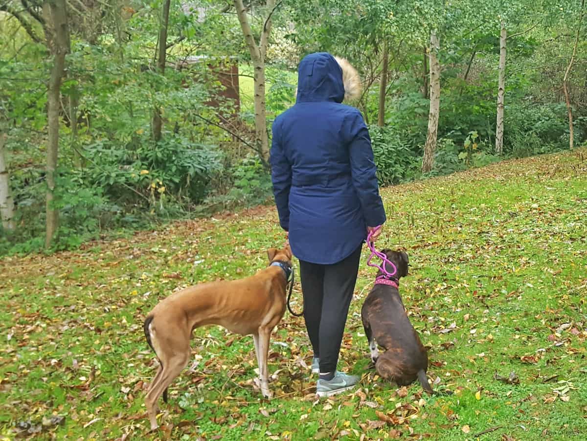 Winter dog walking and Millets winter coats for men and women