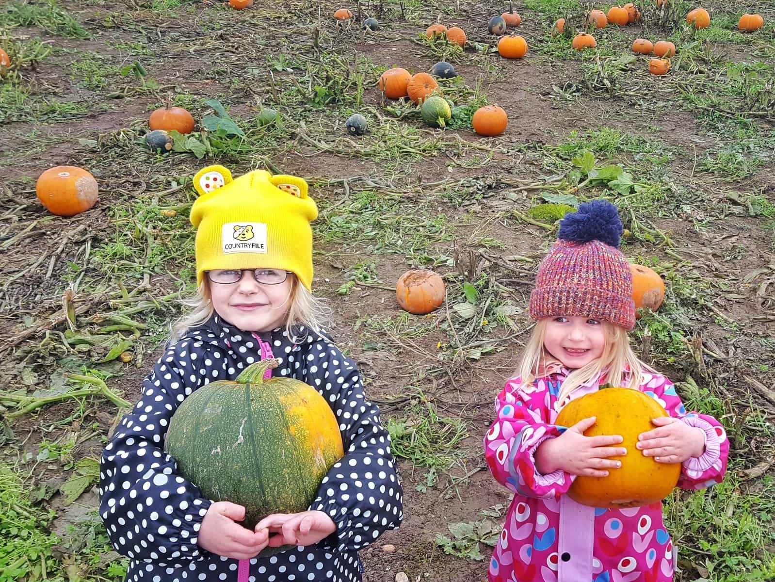 National Forest Adventure Farm | Situated in Staffordshire in the West Midlands, UK - the National Forest Adventure Farm is the perfect day out for children and families who like to be outdoors. On Halloween, pick your own pumpkin from the pumpkin patch to take home with you. Plus, see all the other scary goings on. #Halloween #WestMIdlands #NationalForest #familytravel