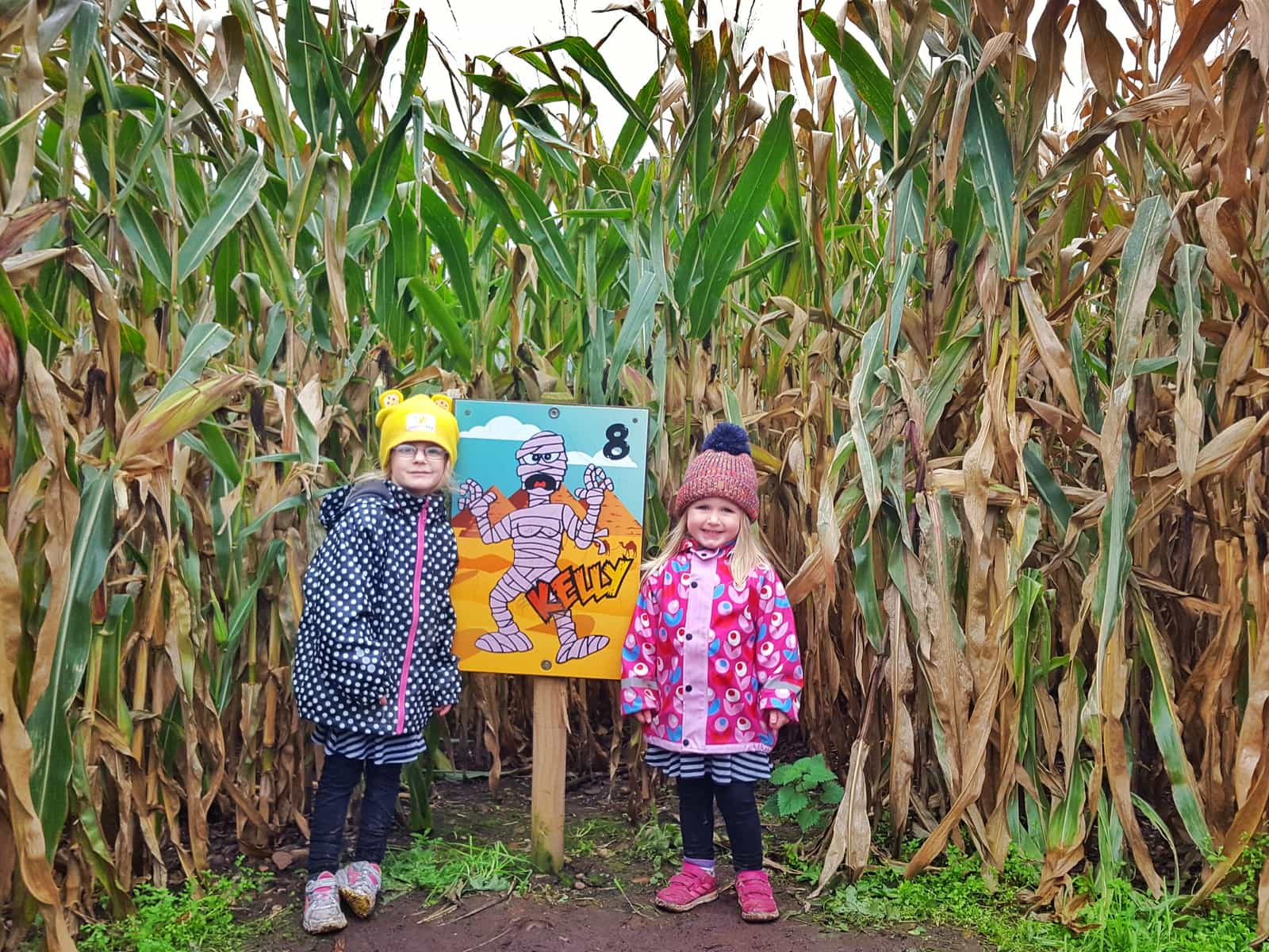 National Forest Adventure Farm | Situated in Staffordshire in the West Midlands, UK - the National Forest Adventure Farm is the perfect day out for children and families who like to be outdoors. On Halloween, pick your own pumpkin from the pumpkin patch to take home with you. Plus, see all the other scary goings on. #Halloween #WestMIdlands #NationalForest #familytravel