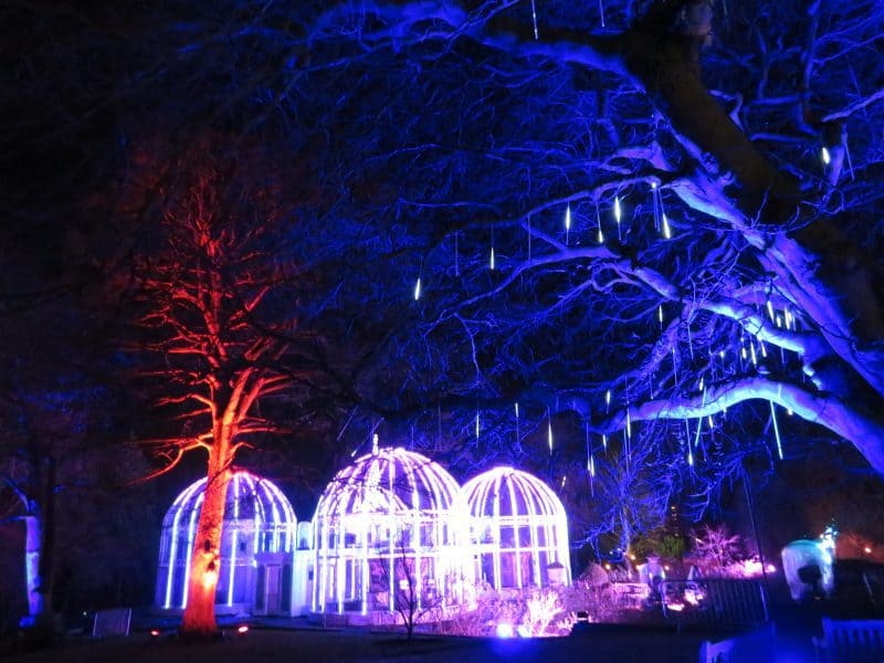Christmas illuminations at Birmingham Botanical Gardens