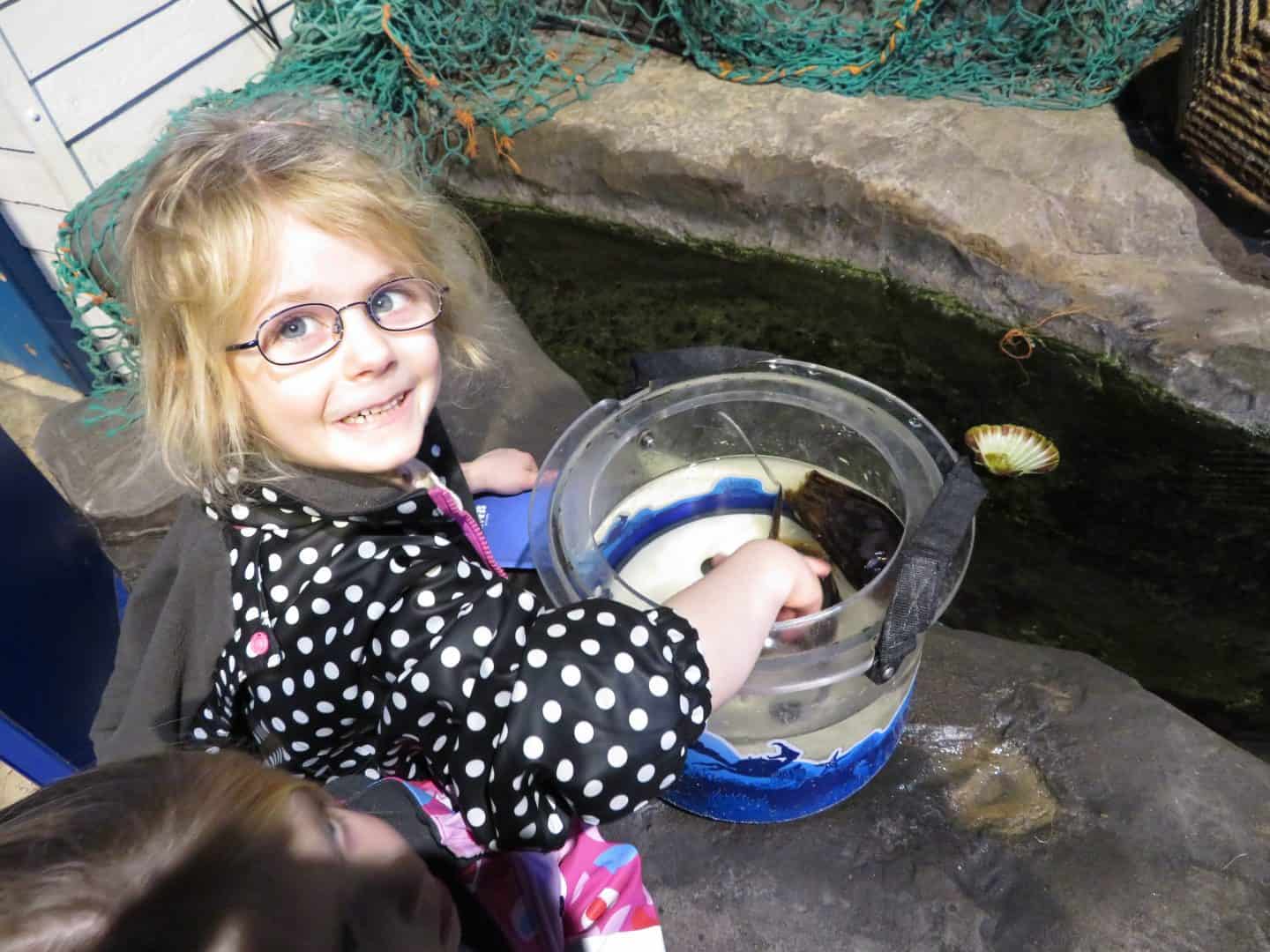 Little girl in black coat with white spots putting her hand into water to touch shark eggs at Sea Life Centre, one of the best rainy days out West Midlands