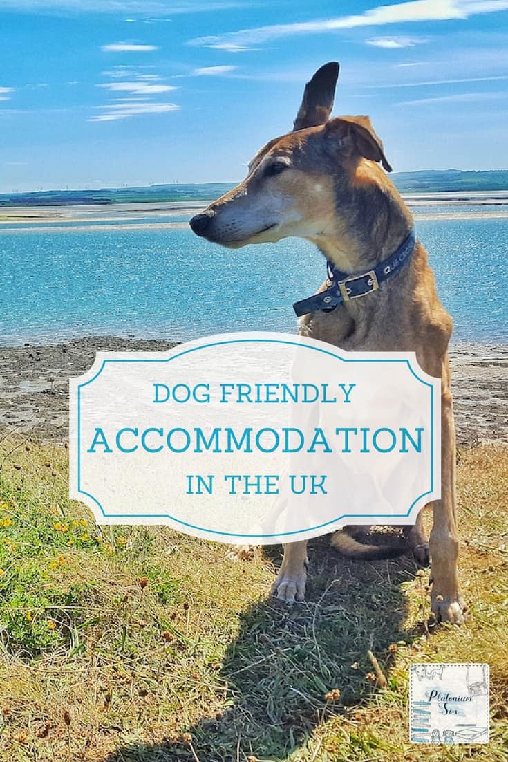 Dog friendly accommodation UK | If you are travelling within the UK, you may well want to include your canine companion on the holiday plans. After all, they're part of the family too. I've listed accommodation around Britain that takes dogs. You will find everything listed from campsites to luxury hotels and they will all welcome both you and your dog. #dogfriendly #dogfriendlytravel #familytravel #uktravel #accommodation #familyholidays