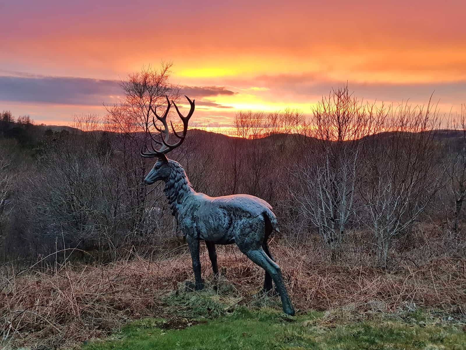 Sunset over hills behind metal deer statue taken at a campsite in Devil's Bridge, a stop on the Vale of Rheidol Railway