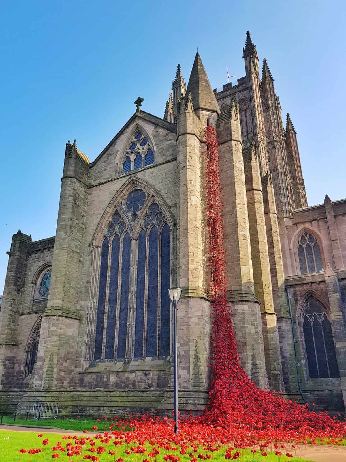 Poppies at Hereford cathedral