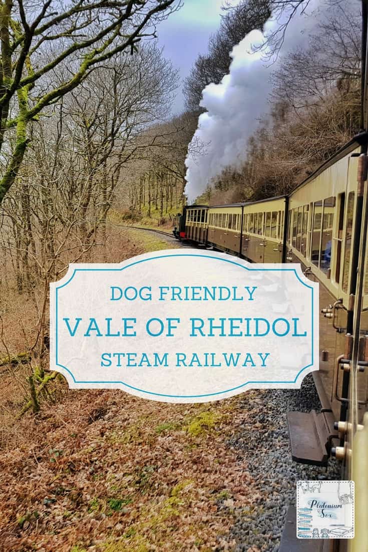 UK Travel - Wales | The Vale of Rheidol narrow gauge steam railway is a great family day out and dogs are welcome too. Looking at both the railway itself including prices and restrictions, and dog friendly accommodation, eateries and days out in the local area. #uktravel #dogfriendly #daysout #familyltravel