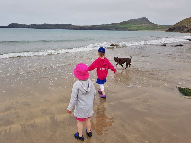 Two little girls and a dog head into the sea at Porthsele, a dog friendly Pembrokeshire beach near Pencarnan farm
