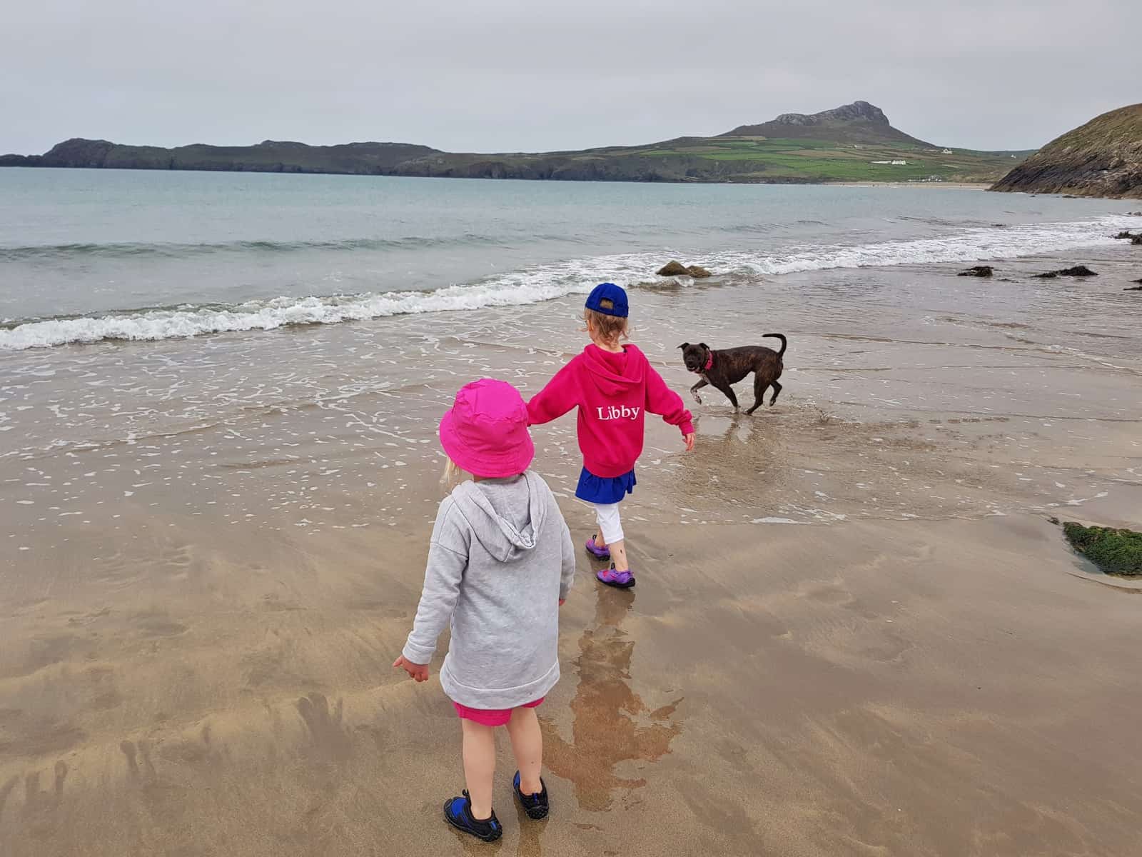 Two little girls and a dog head into the sea at Porthsele, a Pembrokeshire beach near Pencarnan farm