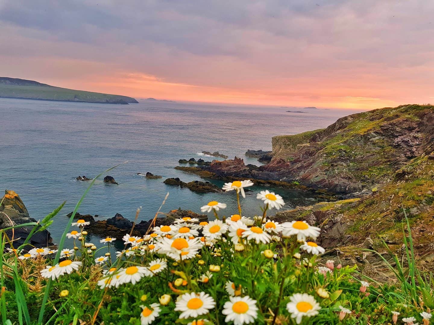 Why Haven holidays are not for us - Plutonium Sox