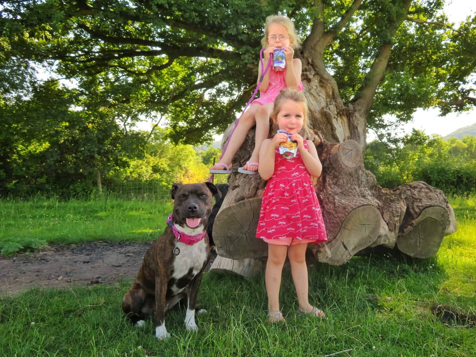 Girl sat on a log with her sister stood in front of her and a dog on the lead beside them, all smiling including the dog - girls drinking Capri-Sun