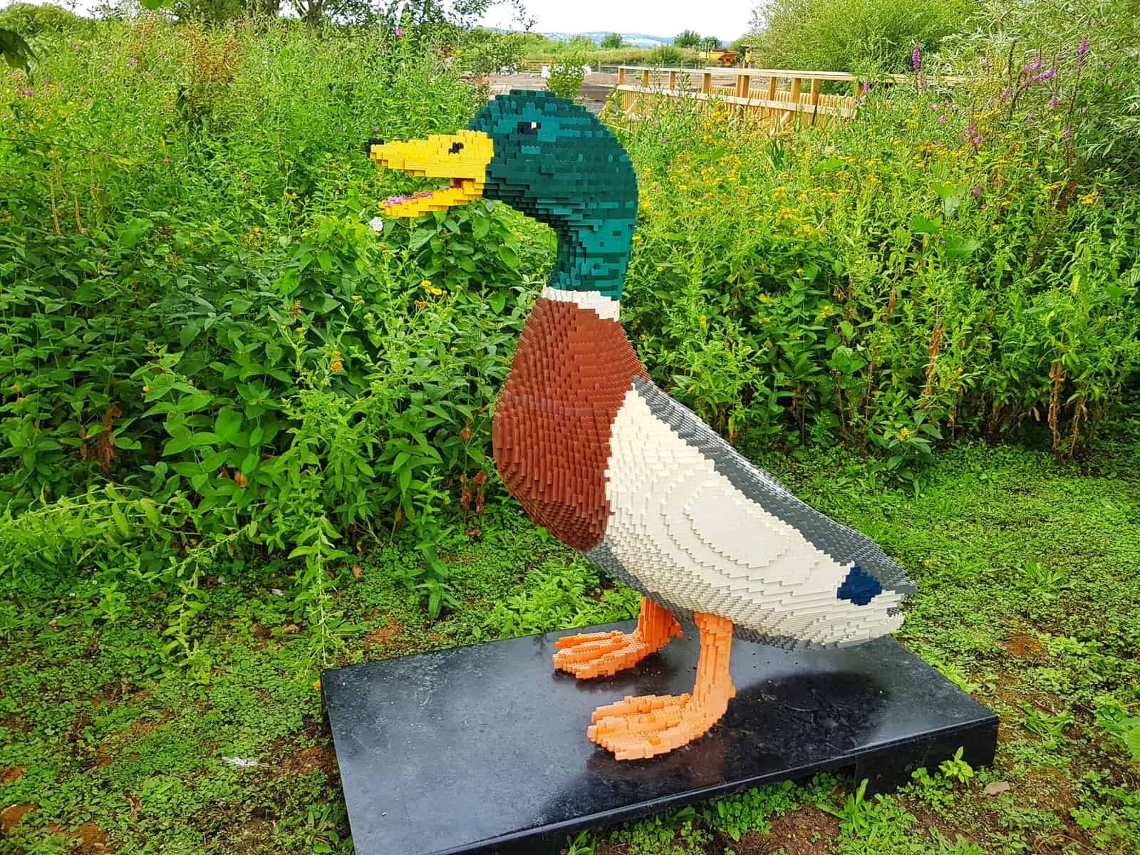 WWT Slimbridge, Gloucestershire - giant lego duck