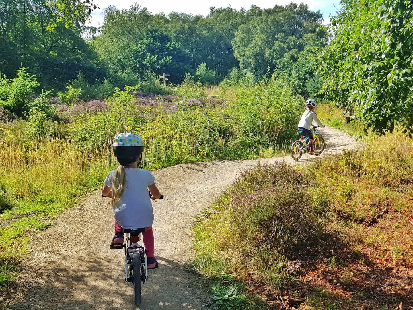 Two children on bicycles pedalling away from the camera on an off road trail