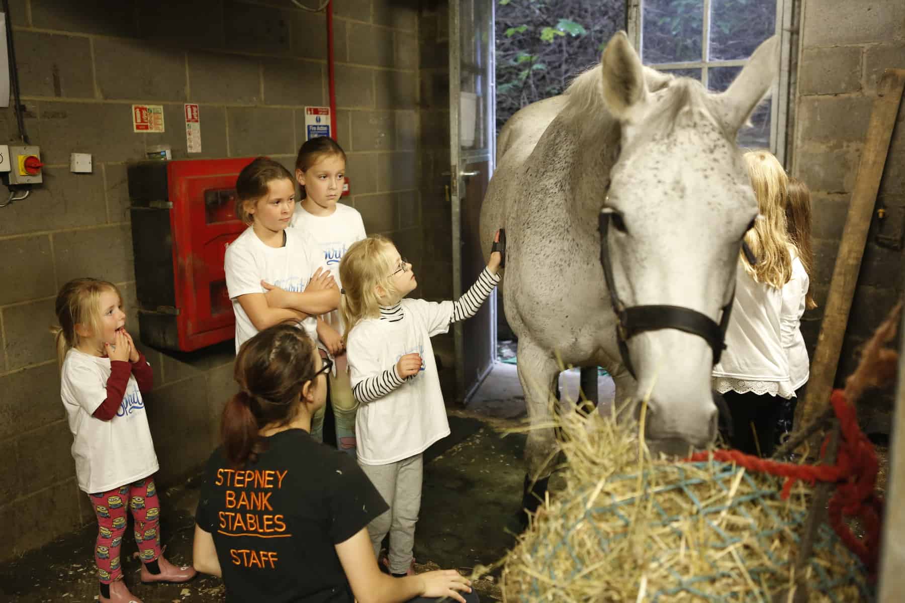 Spirit Riding Free Stable Sleepover children grooming a large horse