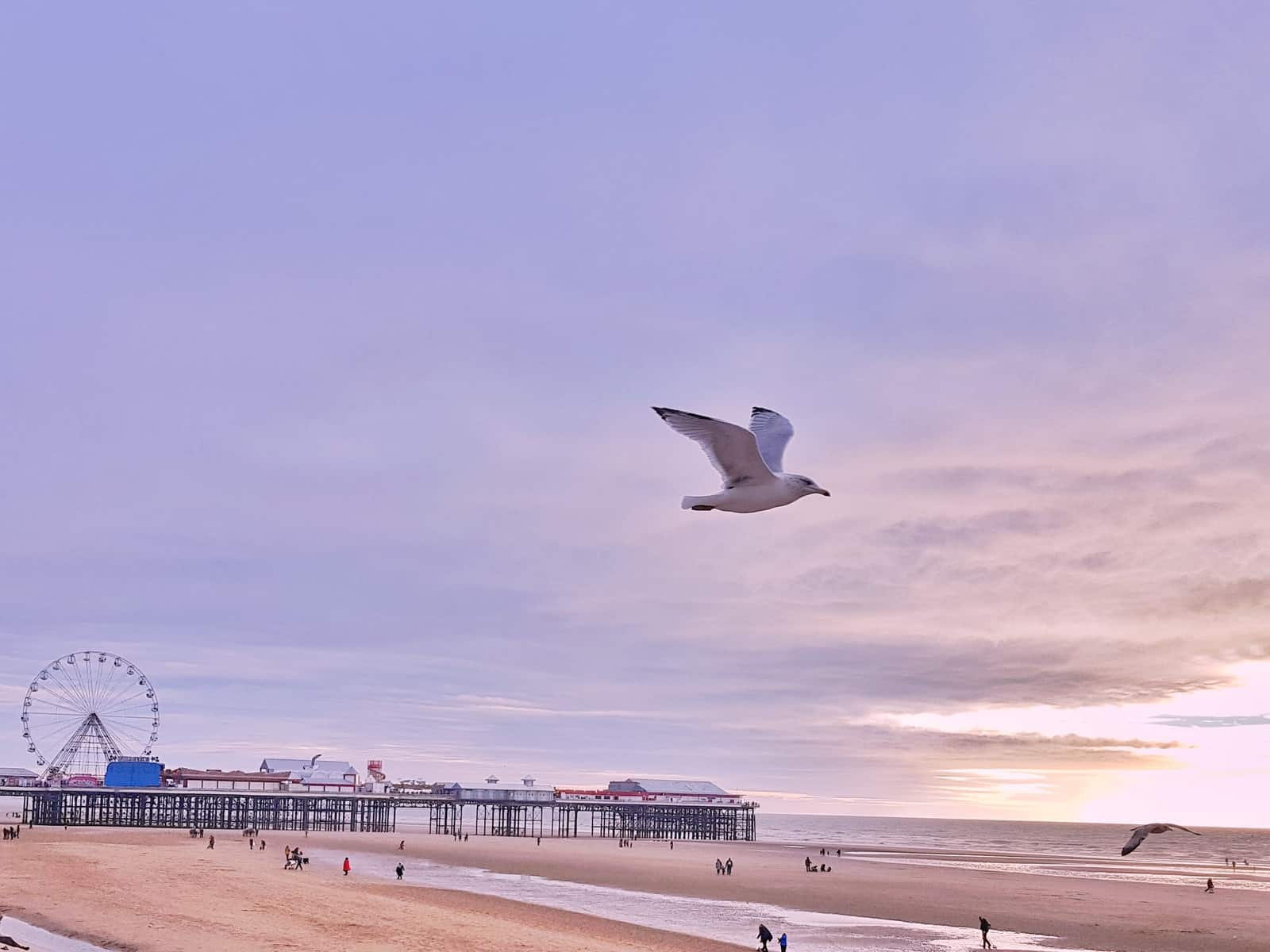 Coral Island Blackpool seafront with seagull in foreground