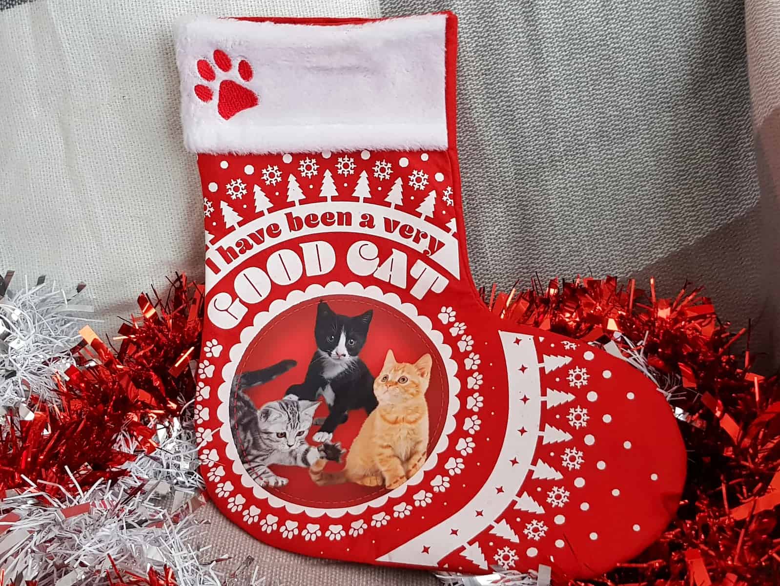 Christmas gifts for animal lovers and their pets