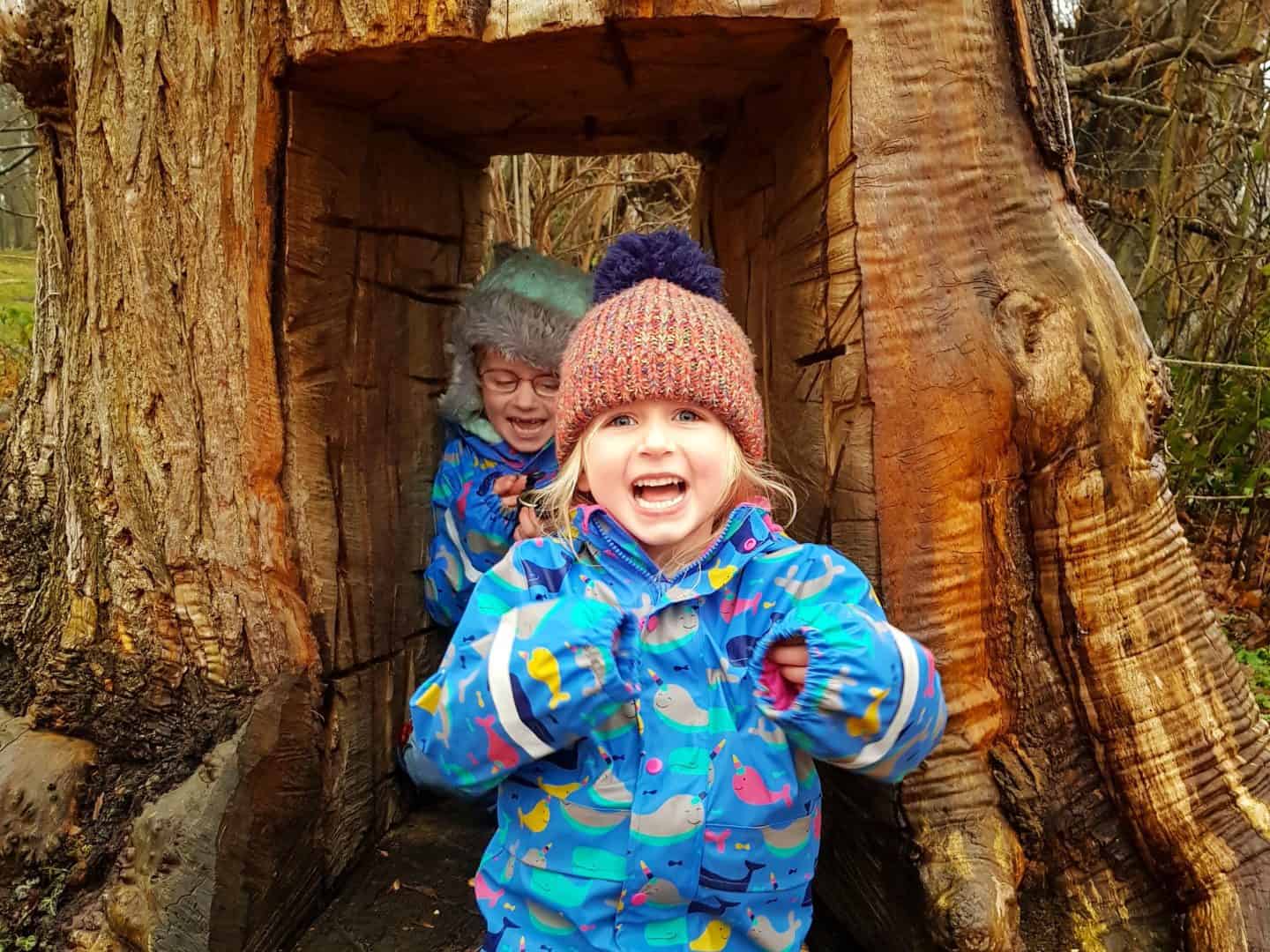 Girls playing inside a tree trunk at Croft Castle National Trust Herefordshire