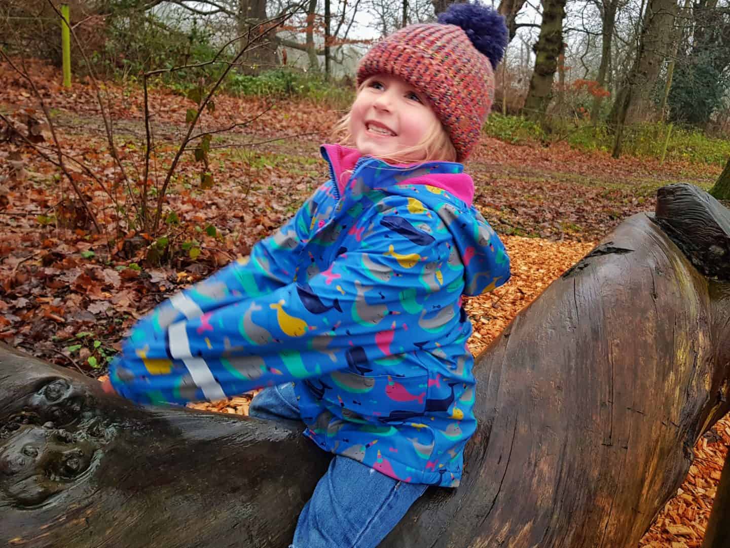 Child playing on log at Croft Castle National Trust Herefordshire