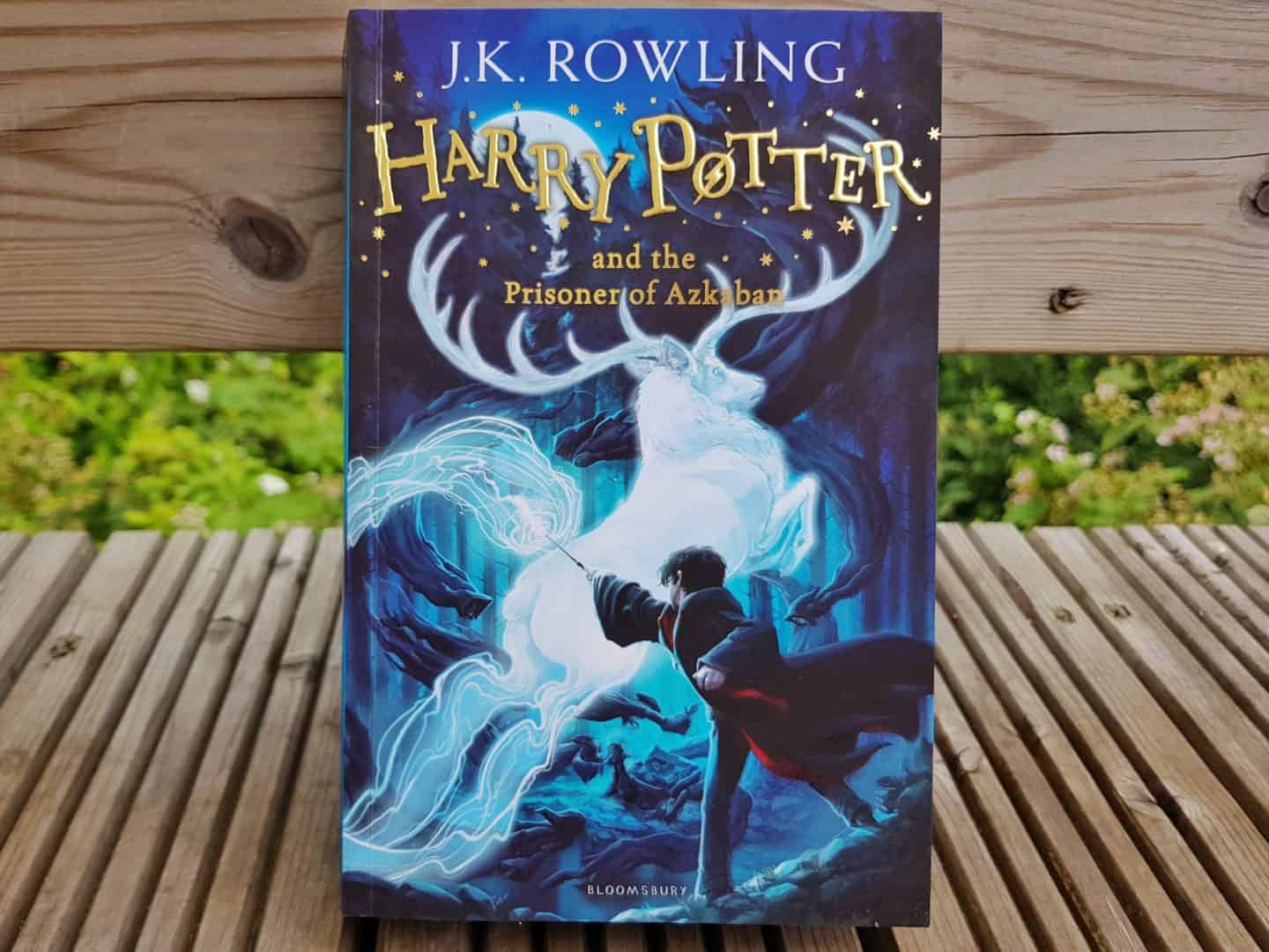 Children's Book Harry Potter