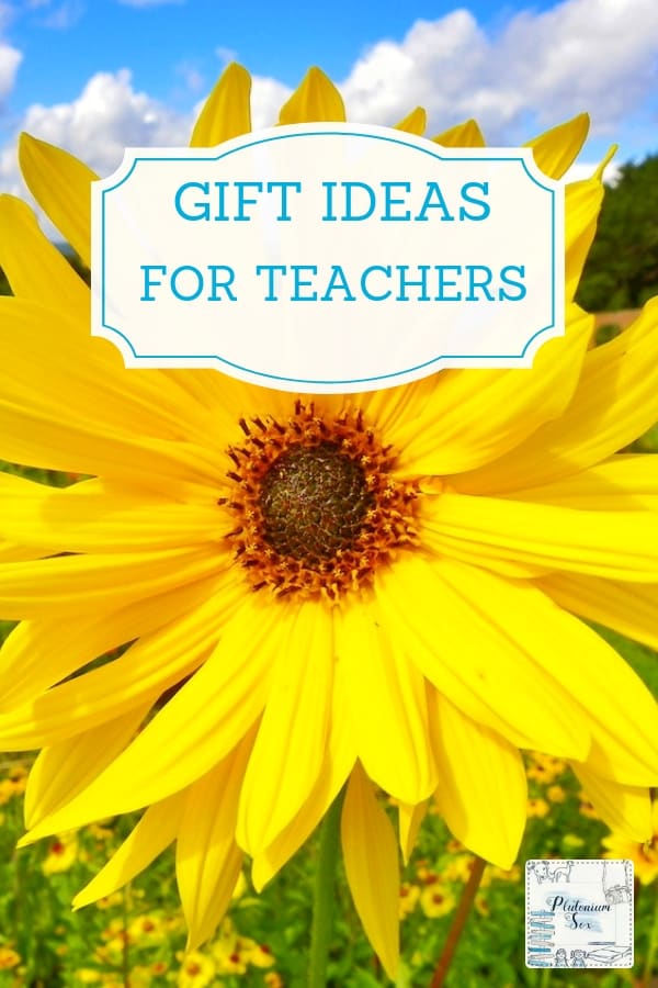 #ad | If you're short of gift ideas for teachers, here are a few you may not have thought of. #giftguide #giftideas #teachergifts #school #parents #giftsforteachers #schoolholidays
