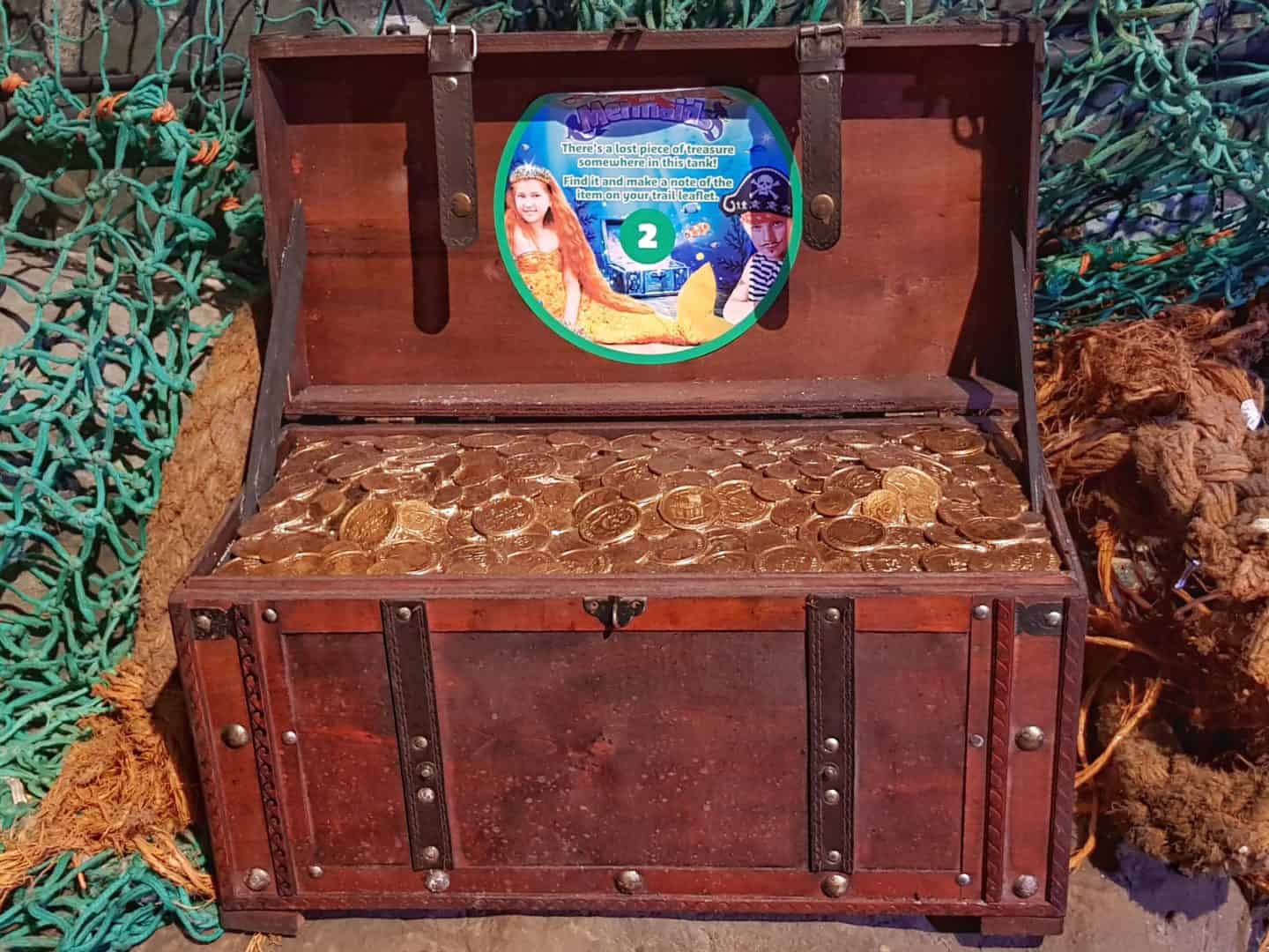 Treasure chest in a tank at the National Sea Life Centre