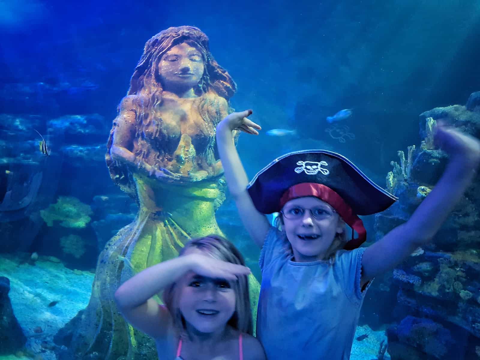 Children with a mermaid in the ocean tank at the National Sea Life Centre