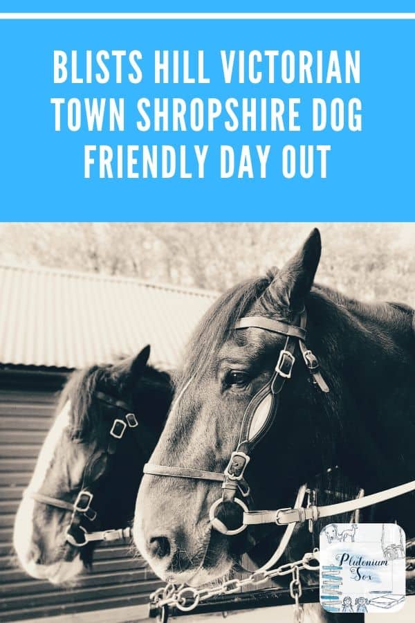 Blists Hill Victorian Town Shropshire | Review of a dog friendly family day out at Blists Hill Victorian Town in Shropshire. All you need to know about visiting with children and dogs.  #DaysOut #FamilyFun #UKTravel #WestMidlands #Shropshire