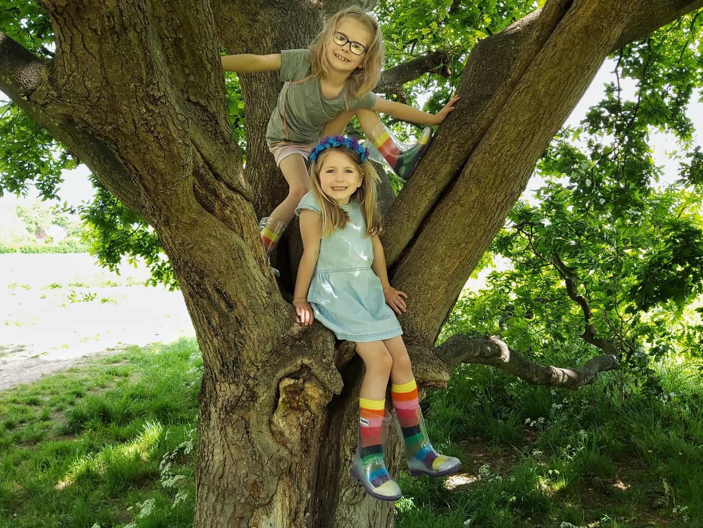 Two little girls in a tree, both wearing squelch wellies and rainbow socks. One sitting down and one climbing the tree above her. 