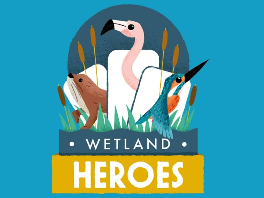 Wetland Heroes App Logo with an animation of an otter, a flamingo and a kingfisher