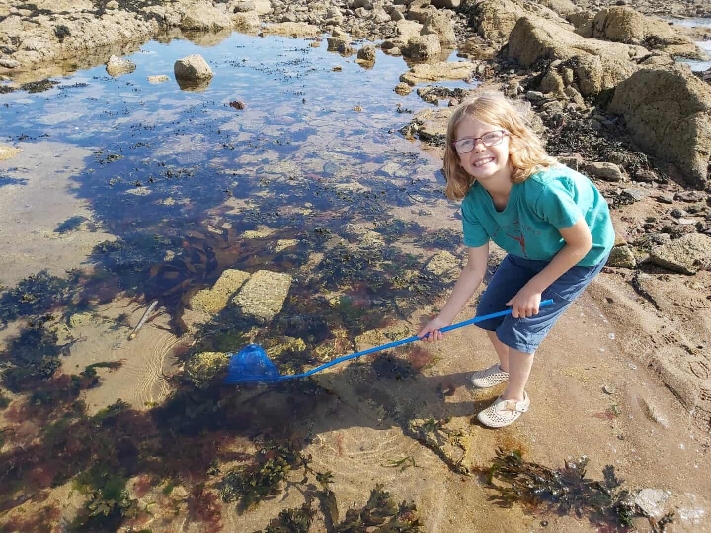 Girl in shorts and a t shirt holding a blue net and rock pooling in a pool at Belhaven Bay beach.  