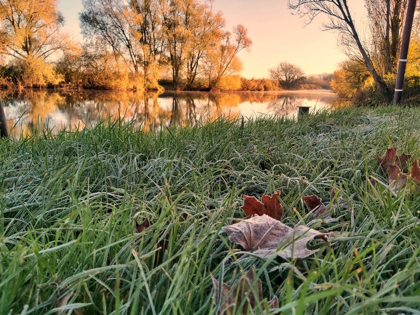 Frosty grass with river at sunrise in the background to illustrate warming up after cold water swimming for mental health