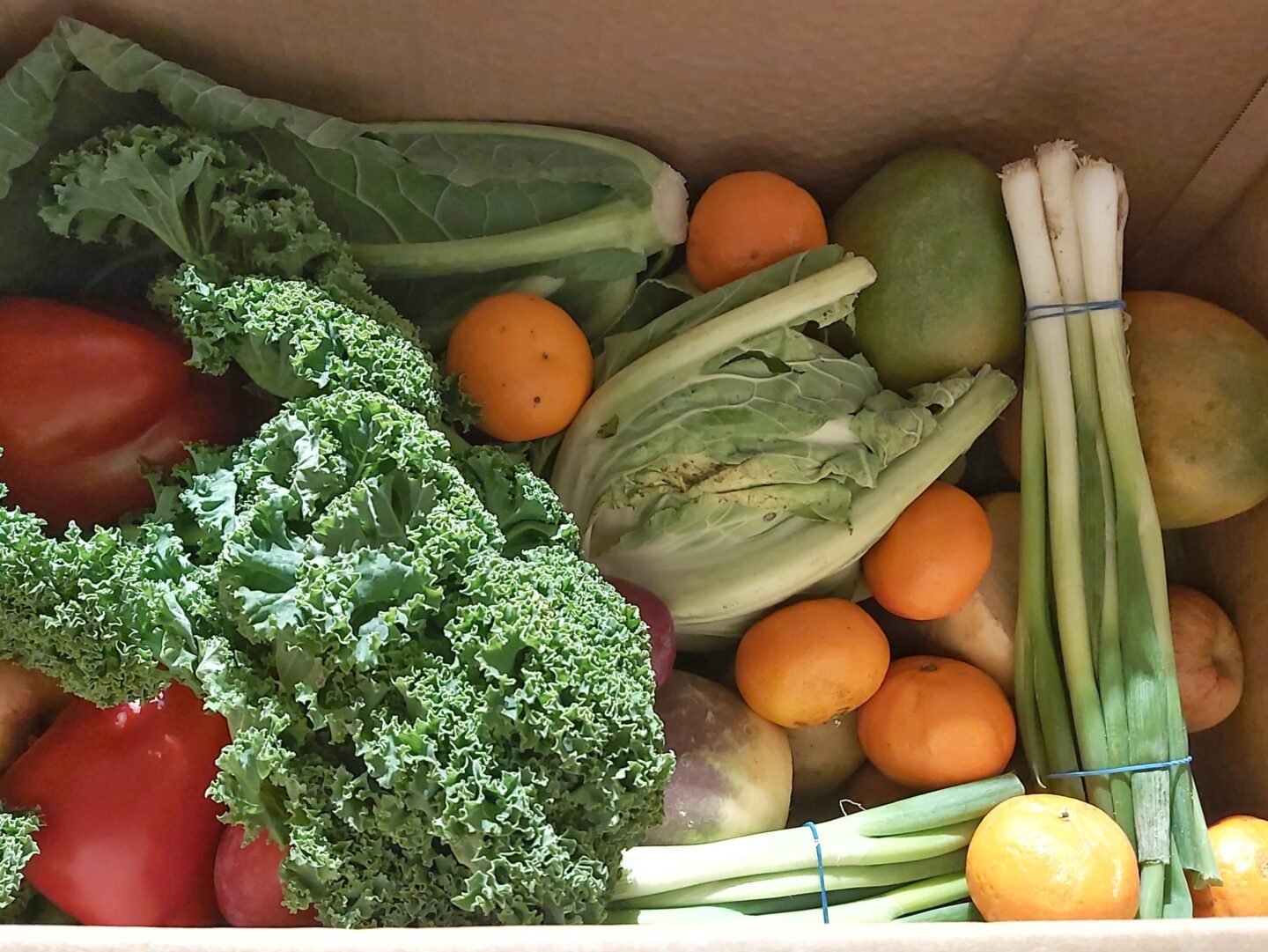 Oddbox large fruit and vegetable box containing oranges, cucumber, mango, red peppers, spring onions and kale. These boxes make great ethical Mother's Day Gifts