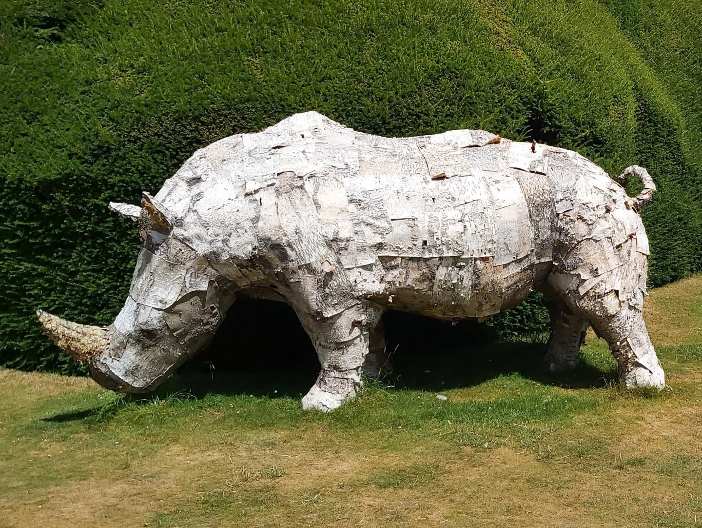 Rhino sculpture on grass next to a hedge