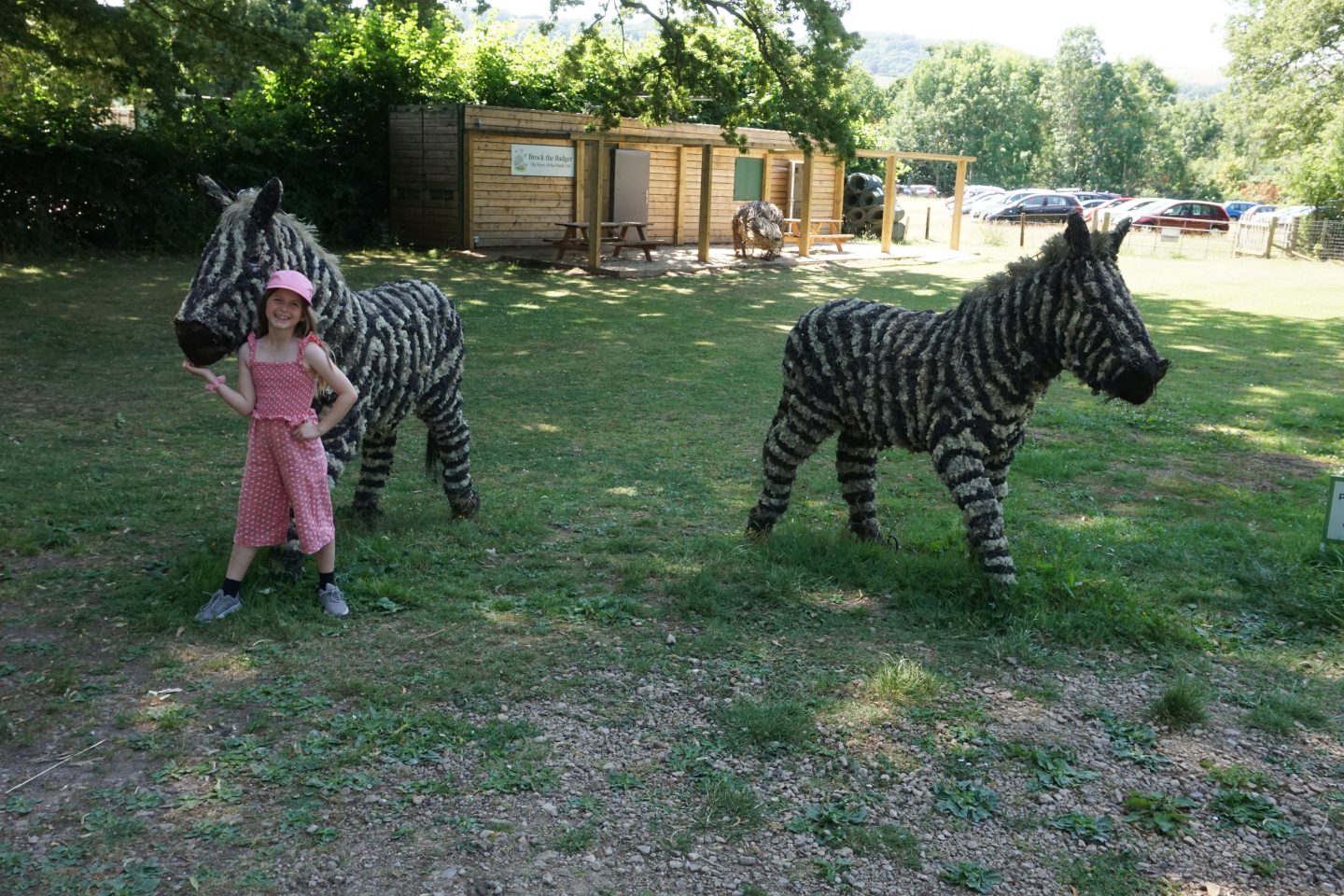 Girl dressed in pink stood beside two zebra sculptures