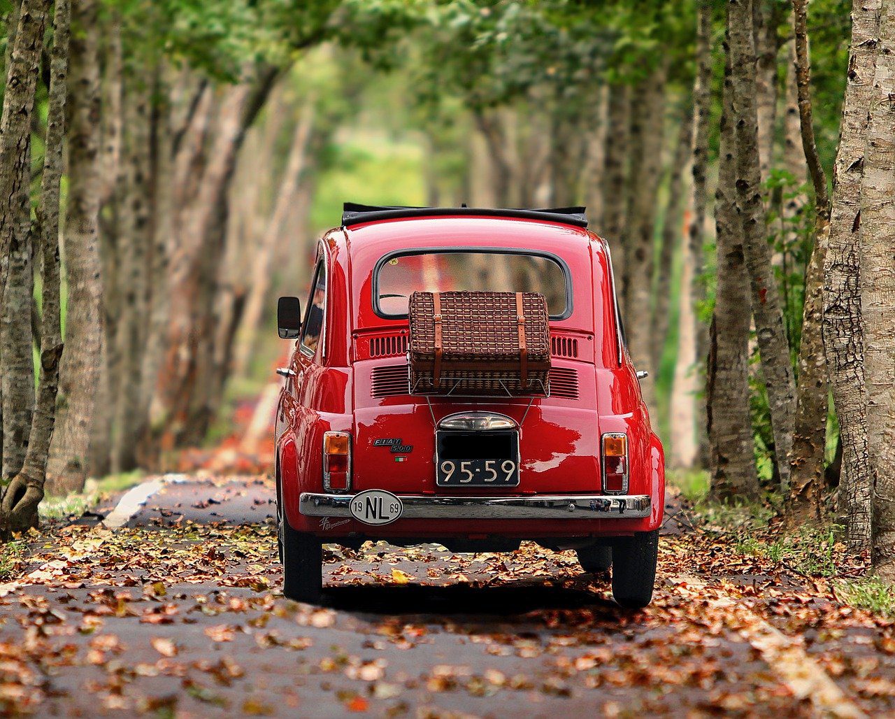 old red fiat car driving down treelined road
